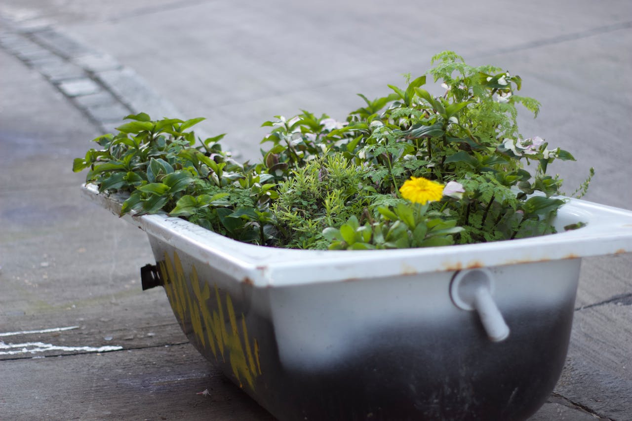 gallery-1 Innovative use of an old bathtub as a vibrant urban planter with lush greenery and flowers.