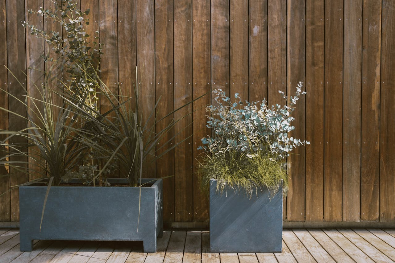 gallery-2 Modern potted plants against a rustic wooden wall add a blend of nature and design.